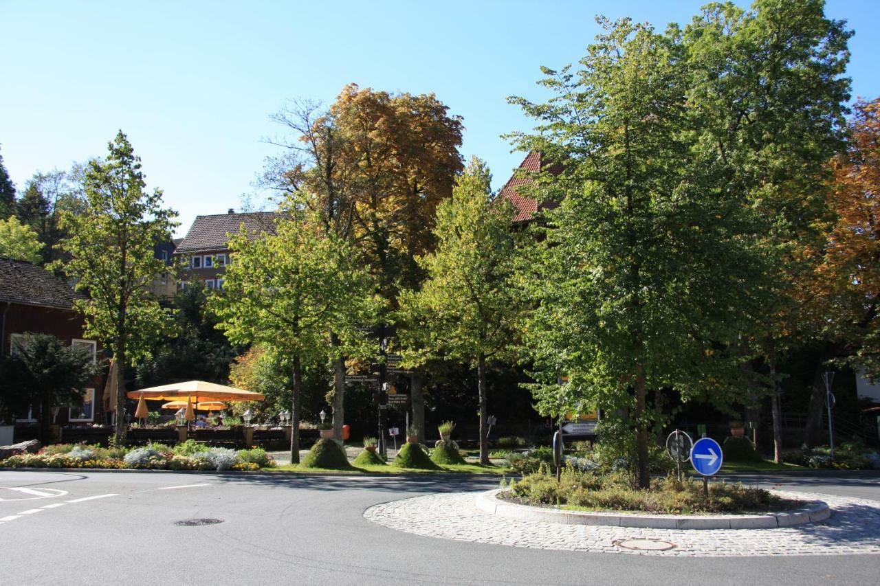 הוילה אלטנאו Kurpark Domizil מראה חיצוני תמונה